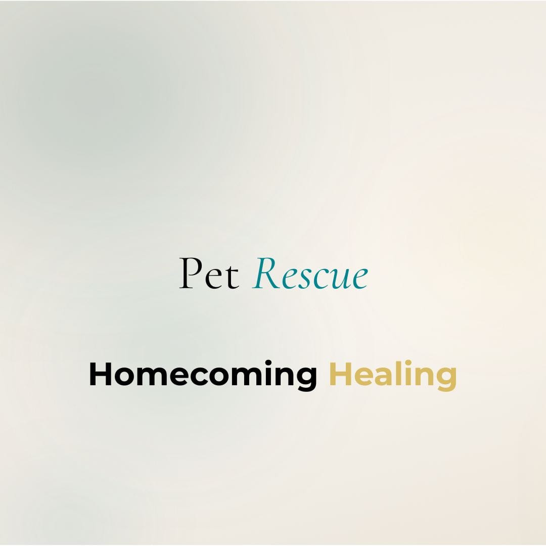 rescue-homecoming-group-healing/