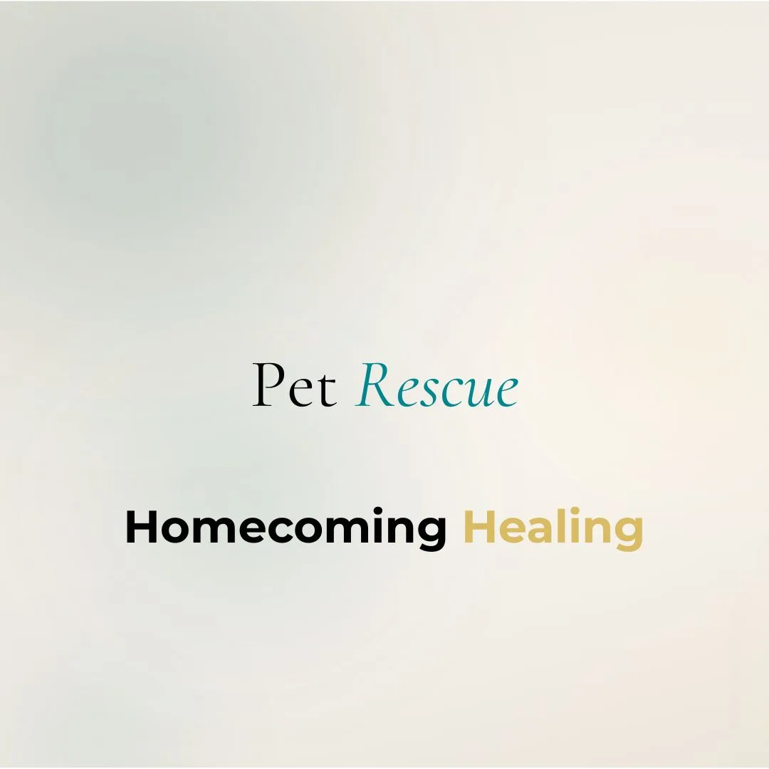 rescue-homecoming-group-healing/