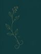 empath-body-intuitive-teal-banner-leaf